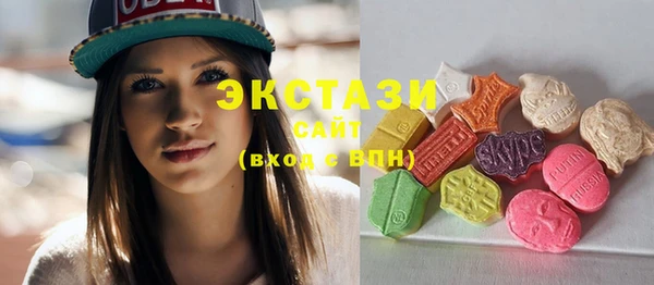 индика Волосово