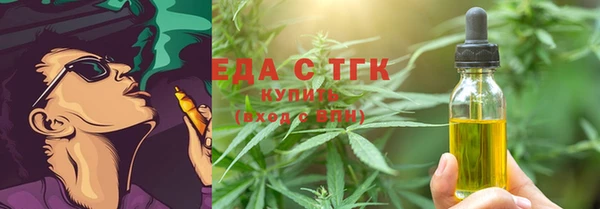 индика Волосово