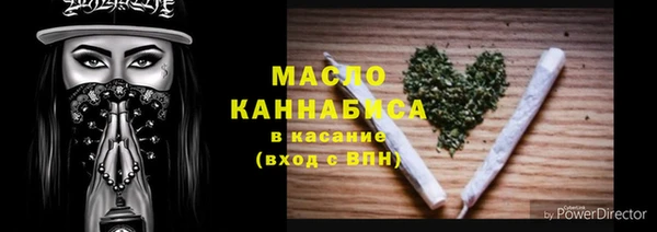 индика Волосово