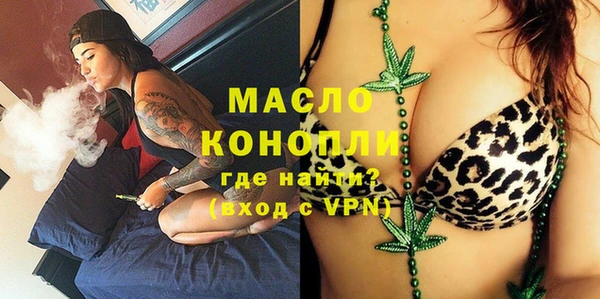 индика Волосово