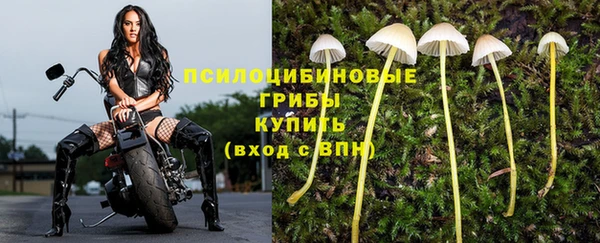индика Волосово