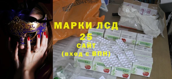 индика Волосово