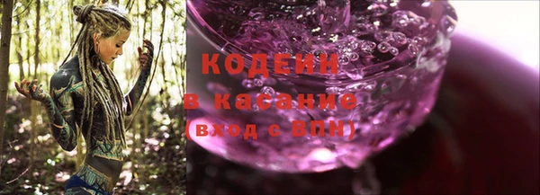индика Волосово